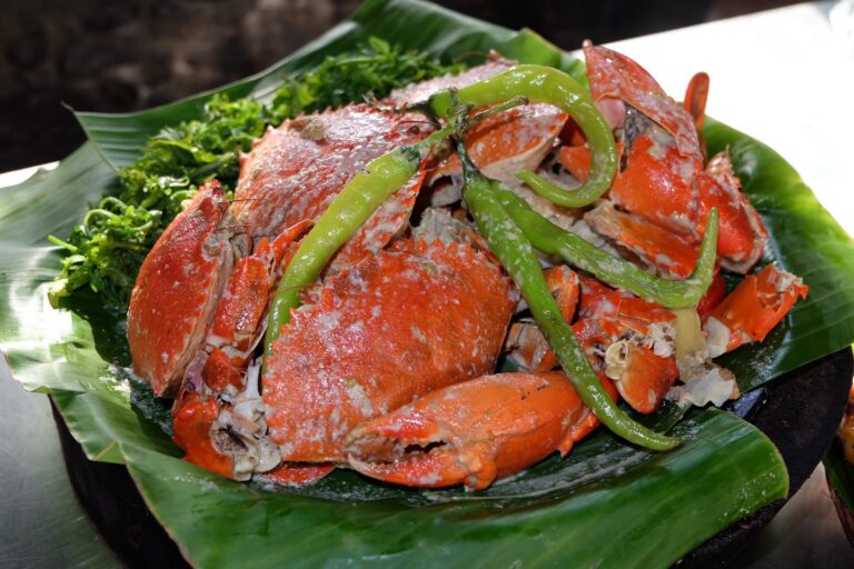 518378290_743161801597268_3755250864587428066_n