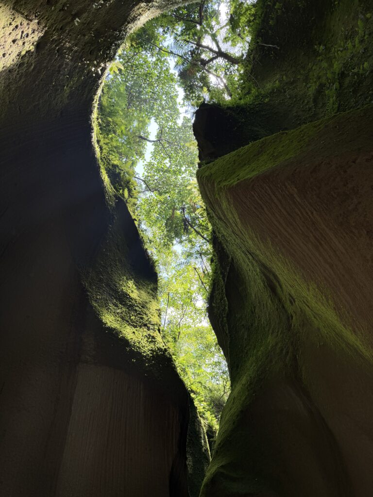 Tutulari Avatar Gorge