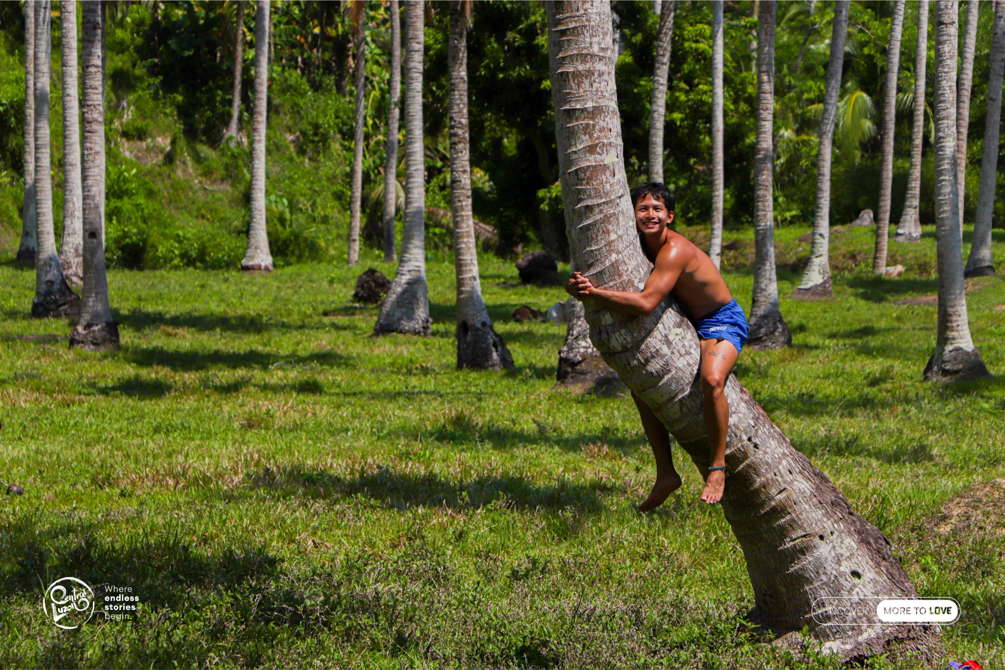 Coconut Plantation, Dinalungan, Aurora