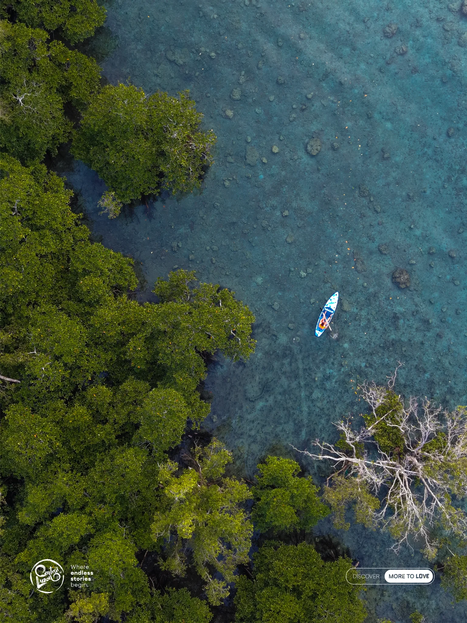 Mangrove Garden, Casiguran, Aurora